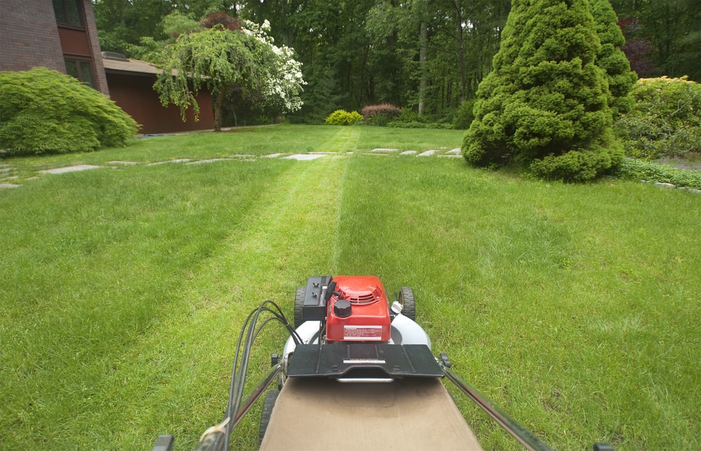 5 Reasons to Hire a Professional Lawn Care Service