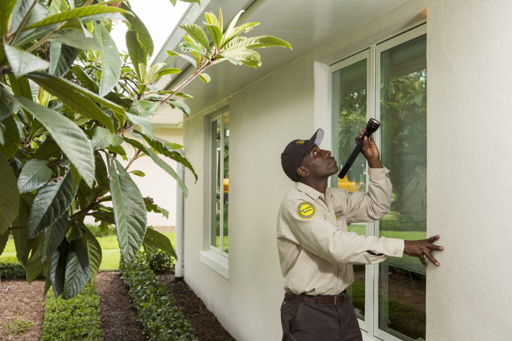 Pest Control Throughout the Seasons