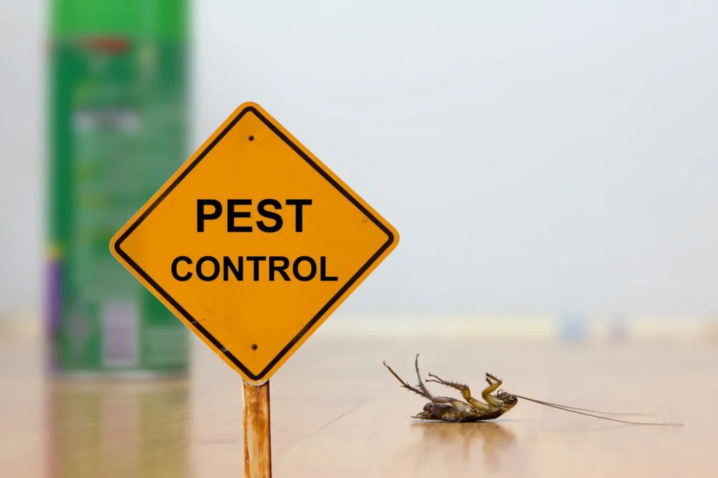 The Importance of Regular Pest Control
