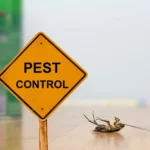 The Importance of Regular Pest Control