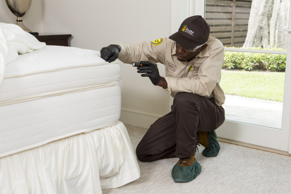 Easy Ways to Identify Certain Household Pests