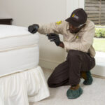 Easy Ways to Identify Certain Household Pests
