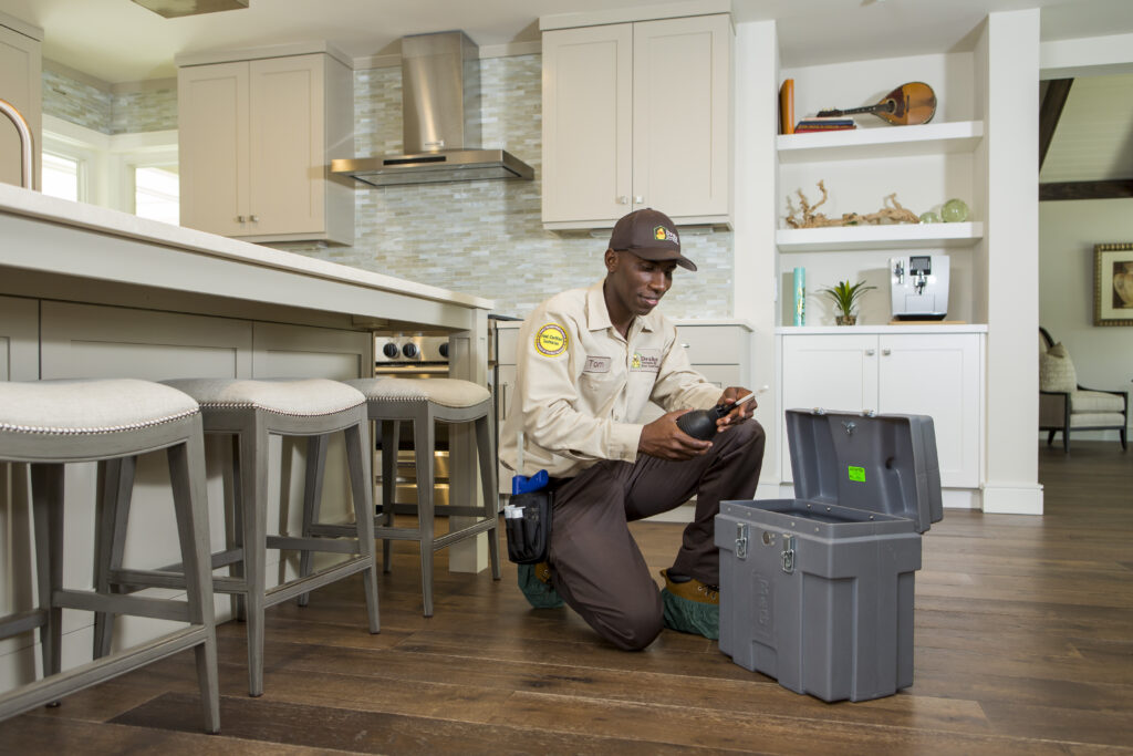 The Best Way to Prevent Pests in Your Home