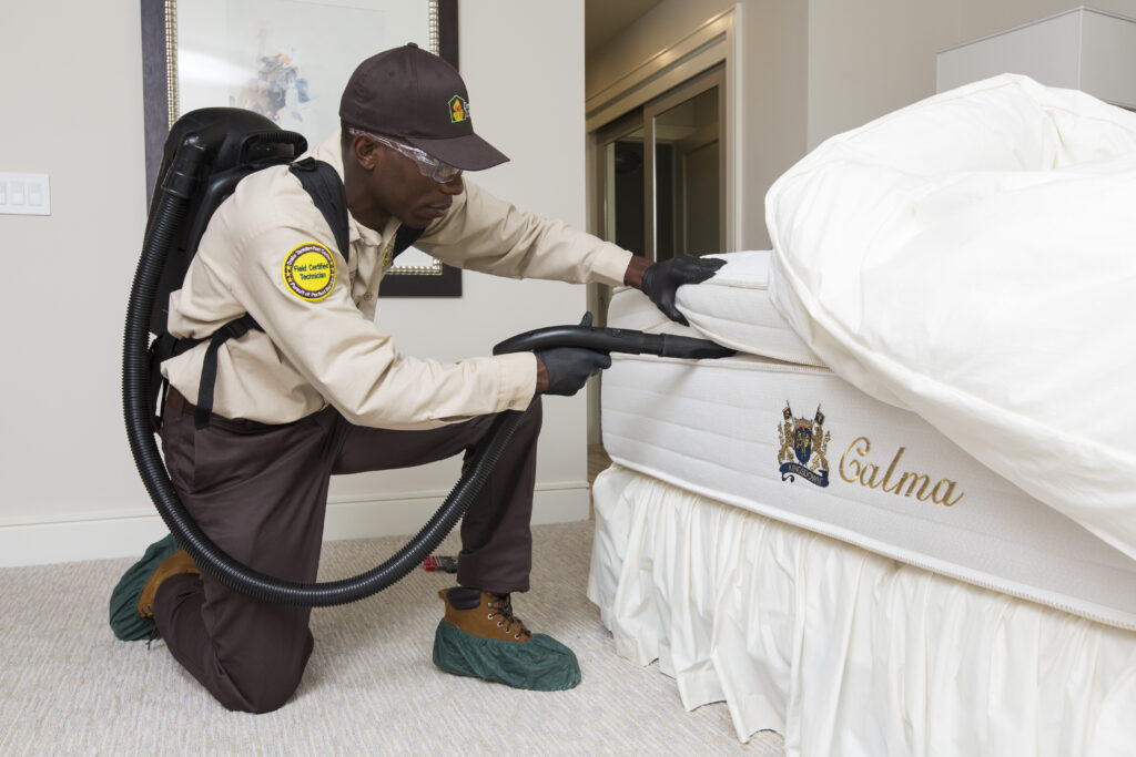 Ultimate Guide to Bed Bug Extermination: Tips and Strategies