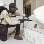 Ultimate Guide to Bed Bug Extermination: Tips and Strategies