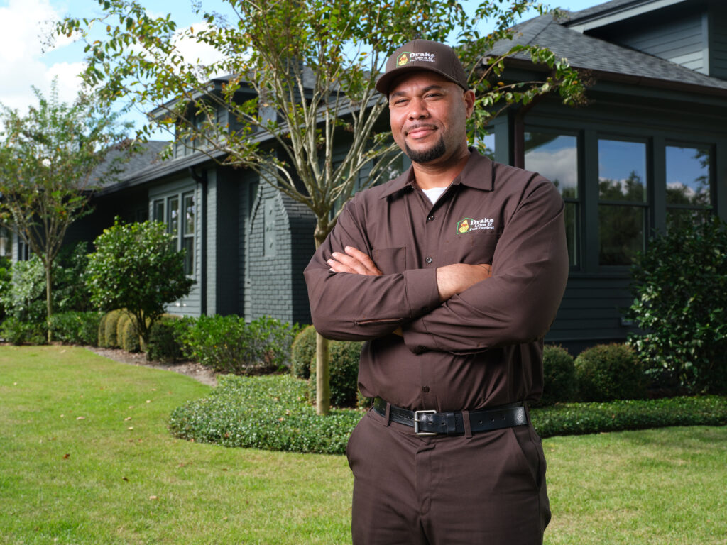 The Best Time of Year for Pest Control