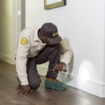 What Happens During a Termite Inspection (And Why You Can’t Skip It)