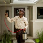 Pest Control in Orlando, Florida: Keeping Central Florida Homes Pest-Free Year-Round