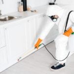 Is Monthly Pest Control Necessary?