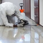 Who is Responsible for Pest Control in a Rental Property
