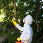 Protección contra insectos para el exterior de su hogar