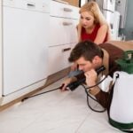 How doing your own pest control can do more harm than good