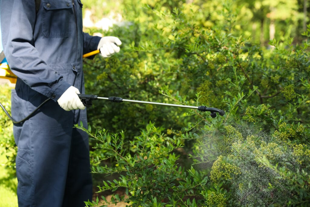 A Few Reasons Why You Do Not Want to Do Pest Control by Yourself
