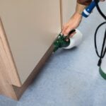 Is It True That Some Pests Lay Dormant Depending on the Season?