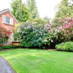 6 Lawn Care Tips For Spring in Orlando