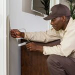What to Do When Termites Re-Infest Your Home