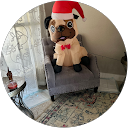 Pamela Perri profile picture