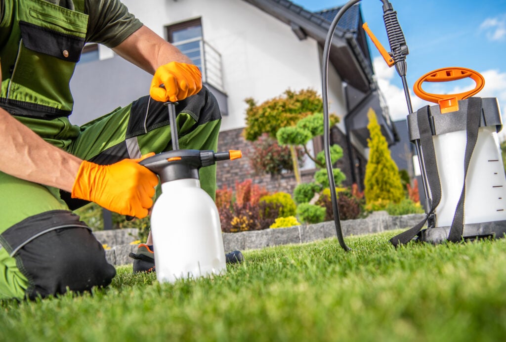 Common Lawn Pests in Houston That Can Destroy Your Yard if Left Untreated