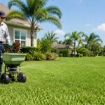 Lawn Pest Control Services in Tampa: How to Protect Your Yard in 2026
