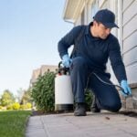 Control de plagas en Tampa: una guía para 2026 sobre cómo proteger tu hogar durante todo el año